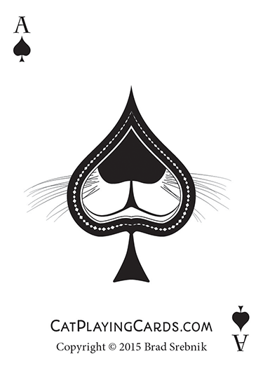 cat playing cards