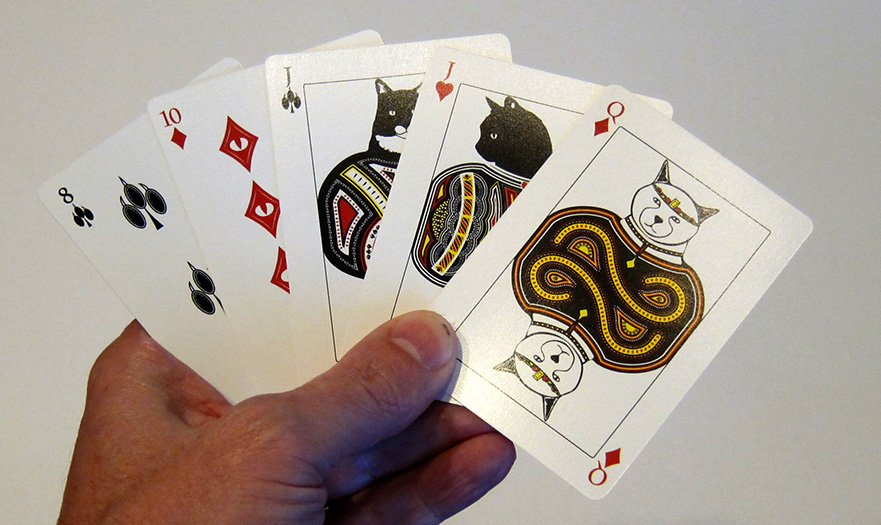 cat playing cards